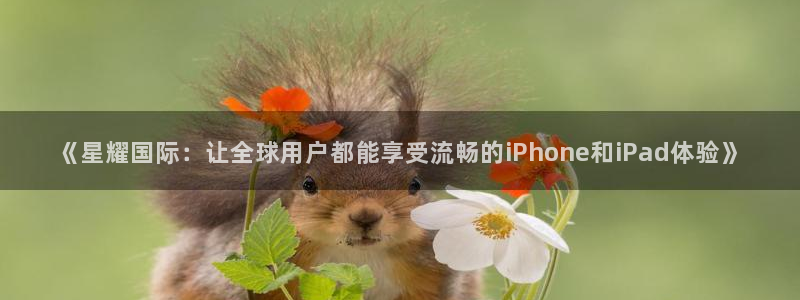 彩易通手机版官网