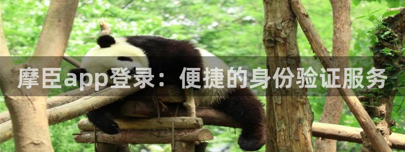 彩易通官网