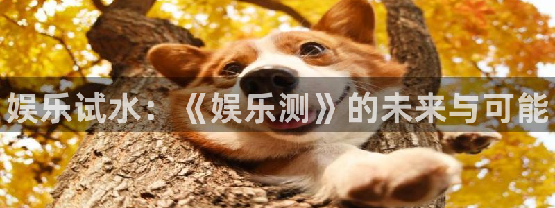 彩易通
