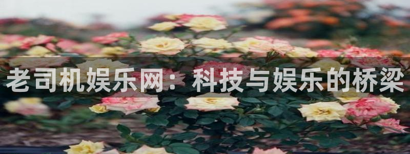 彩易通选号工具