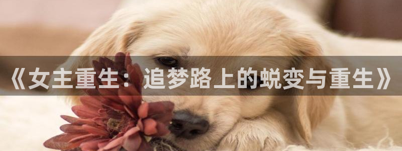 彩易通：《女主重生：追梦路上的蜕变与重生》
