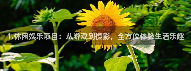 彩易通官网：1.休闲娱乐项目：从游戏到摄影，全方位体验生活乐趣