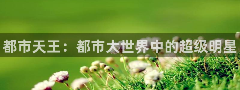彩易通选号工具：都市天王：都市大世界中的超级明星
