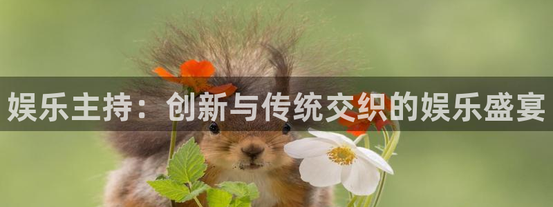 彩易通：娱乐主持：创新与传统交织的娱乐盛宴