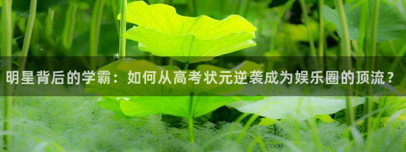 彩易通：明星背后的学霸：如何从高考状元逆袭成为娱乐圈的顶流？