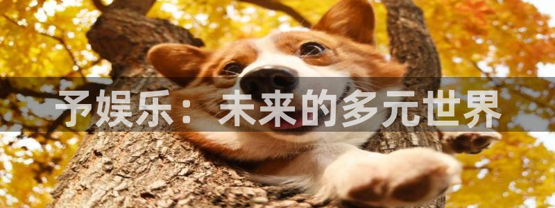 彩易通选号工具：予娱乐：未来的多元世界