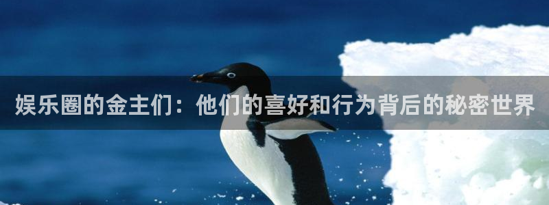 彩易通：娱乐圈的金主们：他们的喜好和行为背后的秘密世界